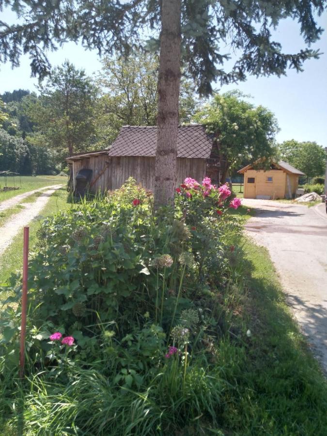Hiska Zeleni Raj Βίλα Podnart Εξωτερικό φωτογραφία